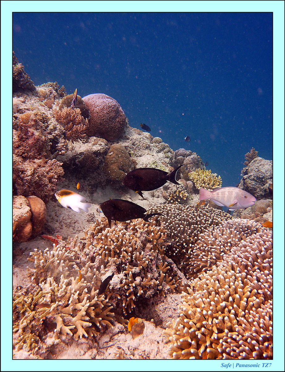 2012 - 07 - Gili - 74